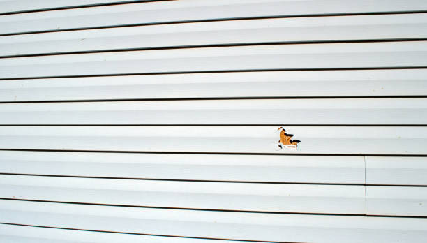 Best Siding Painting and Refinishing  in Rosedale, CA