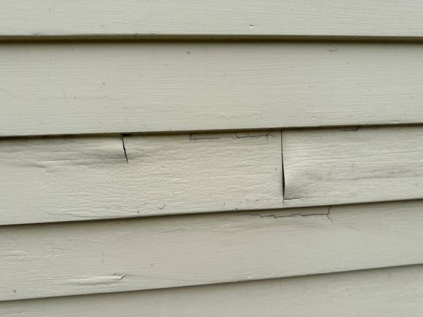 Best Wood Siding Installation  in Rosedale, CA